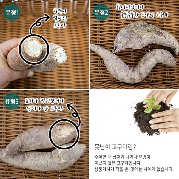 메디앙스 공식몰 아이맘,동김제농협 못난이 햇 꿀 고구마 3kg