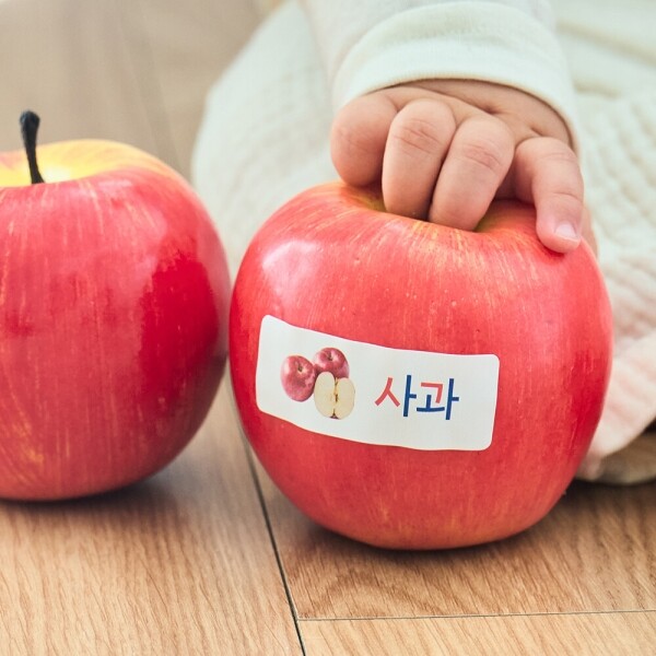 메디앙스 공식몰 아이맘,하뚱세이스티커 한글 (세이펜 호환)
